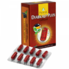 PRAVEK DIABKALP PLUS CAPSULE (2X30 CAPSULES)