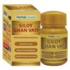 GILOY GHAN VATI (4 PACK )